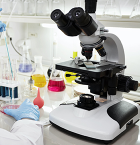 Microscopio y muestras en el laboratorio